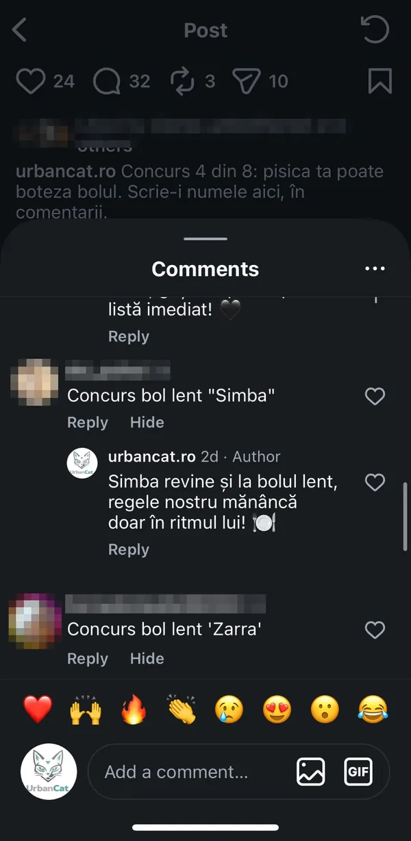 Captură din Instagram: alt comentariu de sub aceeași postare, cu răspunsul agentului UrbanCat despre Simba și bolul lent. Numele de utilizator sunt estompate.