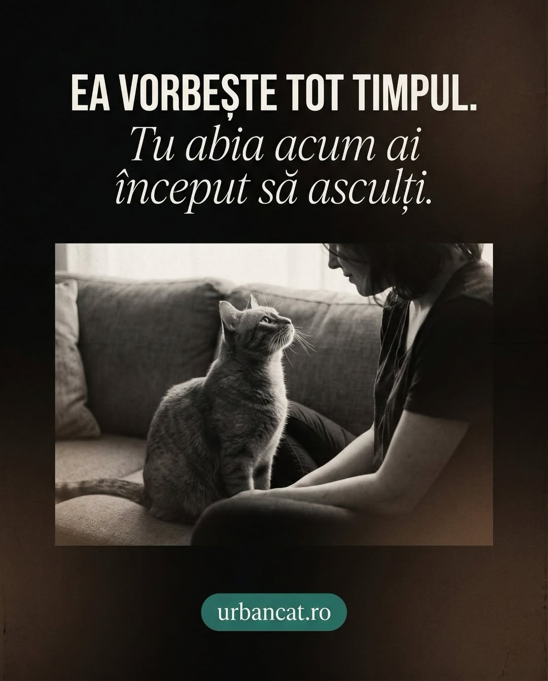 Pillar UrbanCat slide 7 te iubesc clipește încet, final carusel TikTok pet brand emoțional