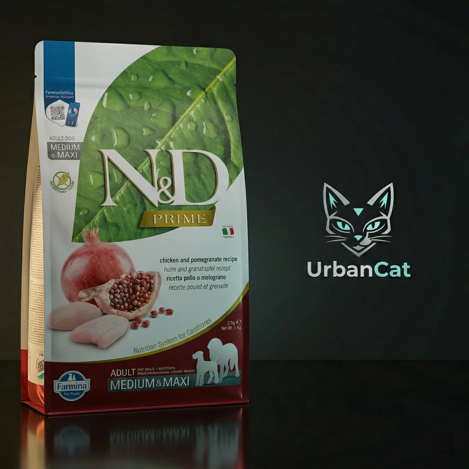 UrbanCat hero categories
